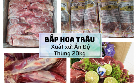 Bắp Hoa Trâu Ấn Độ